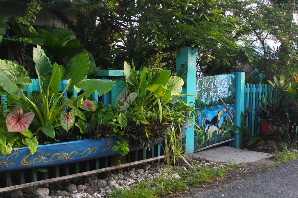 Bed and Breakfast Cocomo On The Sea Bocas del Toro Экстерьер фото
